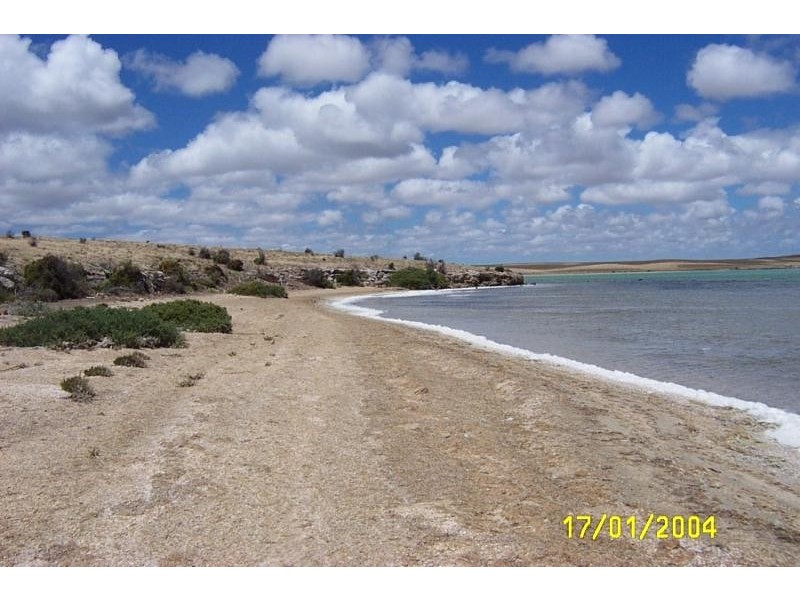 Section 155/ Calca Rd., Sceale Bay SA 5680