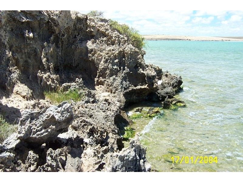 Section 155/ Calca Rd., Sceale Bay SA 5680