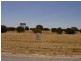 141 & 142 MEEINDERRY DR, Perlubie SA 5680
