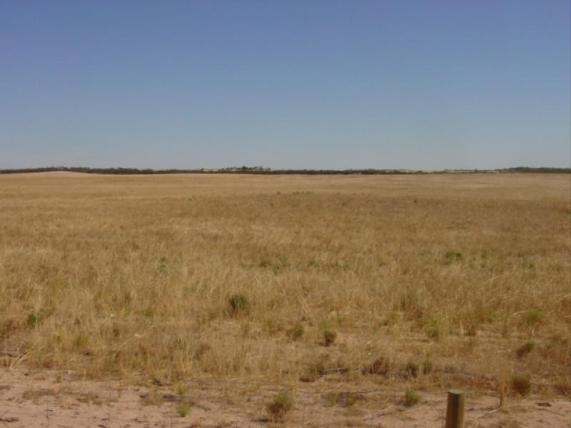 Section 3/ Hd of Wallanippie, Smoky Bay SA 5680