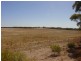 Section 3/ Hd of Wallanippie, Smoky Bay SA 5680
