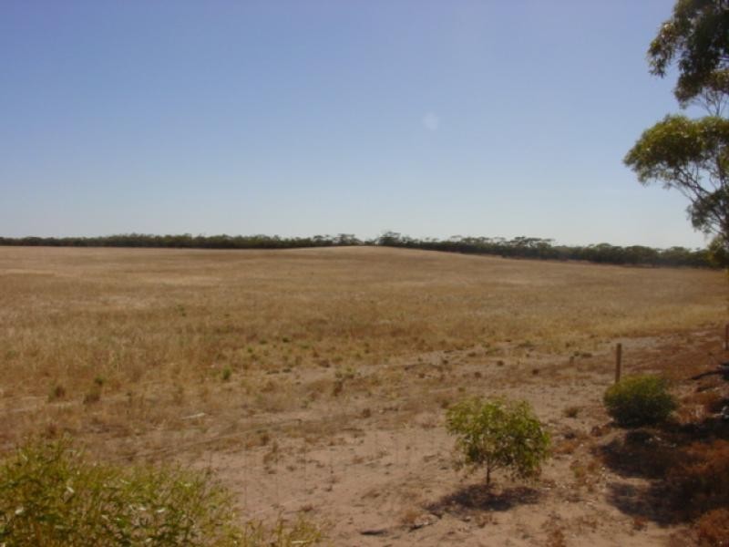 Section 3/ Hd of Wallanippie, Smoky Bay SA 5680