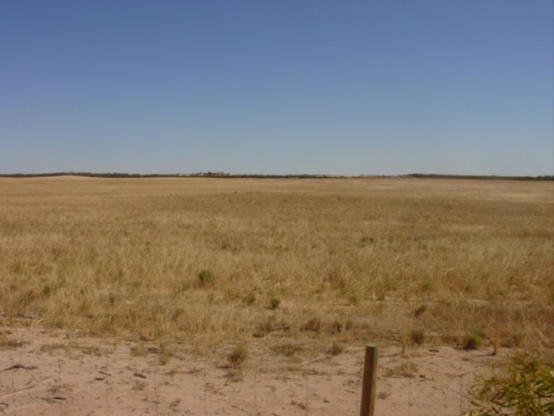 Section 3/ Hd of Wallanippie, Smoky Bay SA 5680