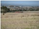 Lot 1/ McFarlane Road, Wanilla SA 5607