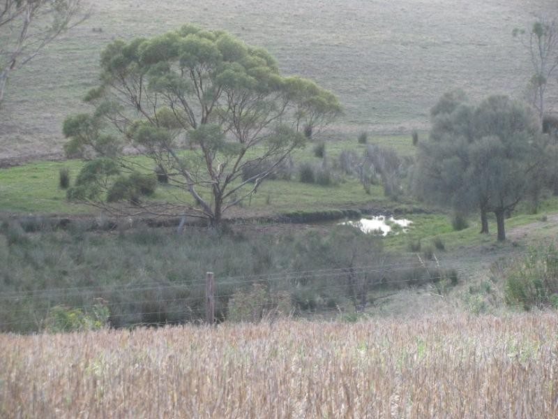 Lot 1/ McFarlane Road, Wanilla SA 5607