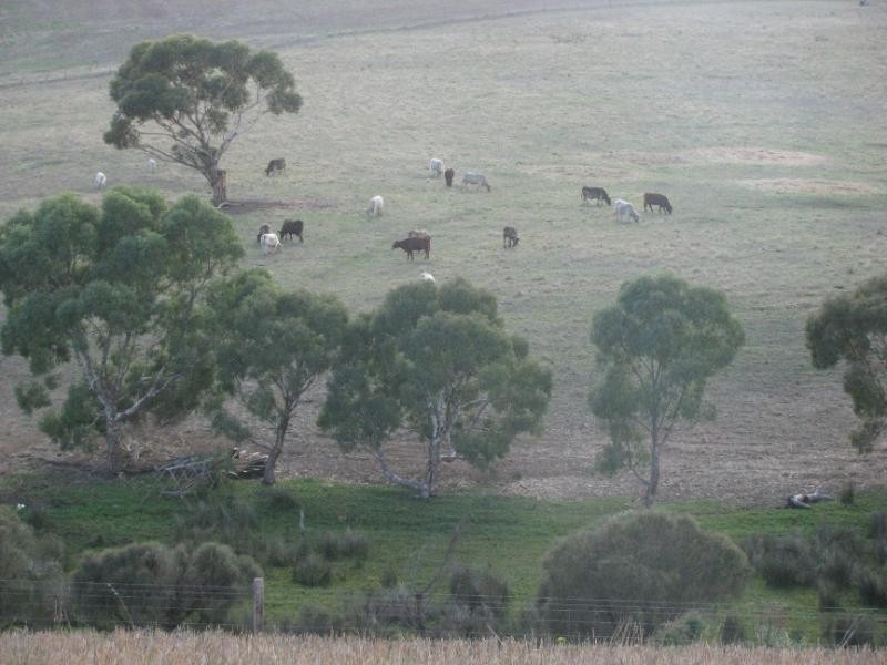 Lot 1/ McFarlane Road, Wanilla SA 5607