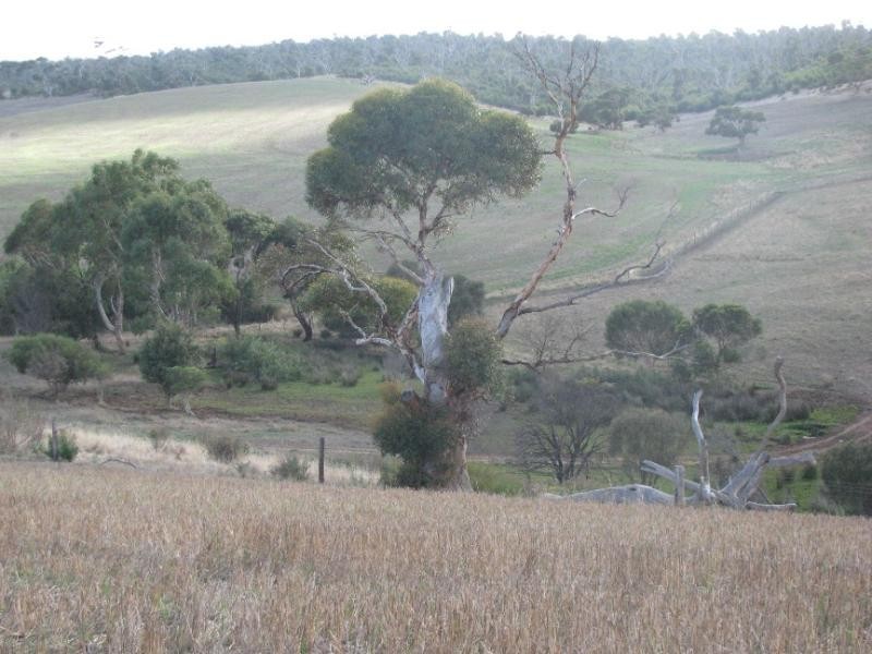 Lot 1/ McFarlane Road, Wanilla SA 5607