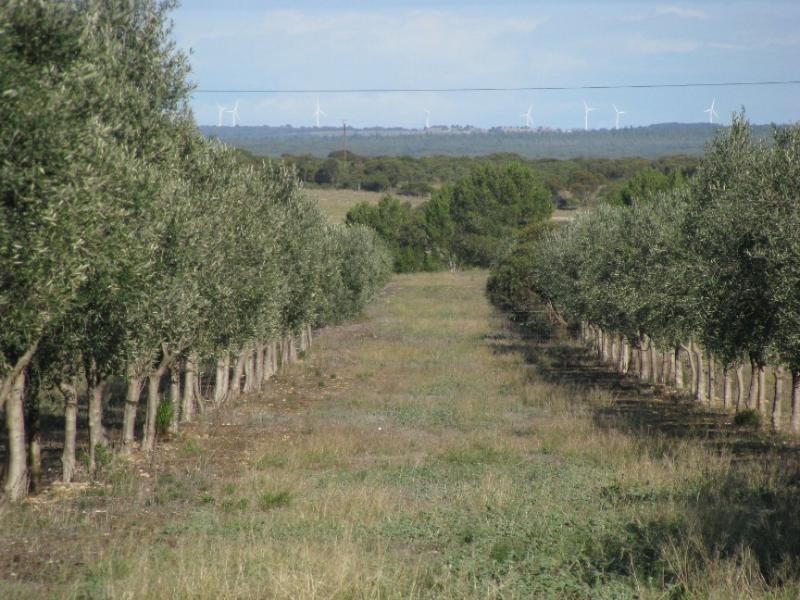 Lot 14/ Concorde Road, Port Lincoln SA 5606