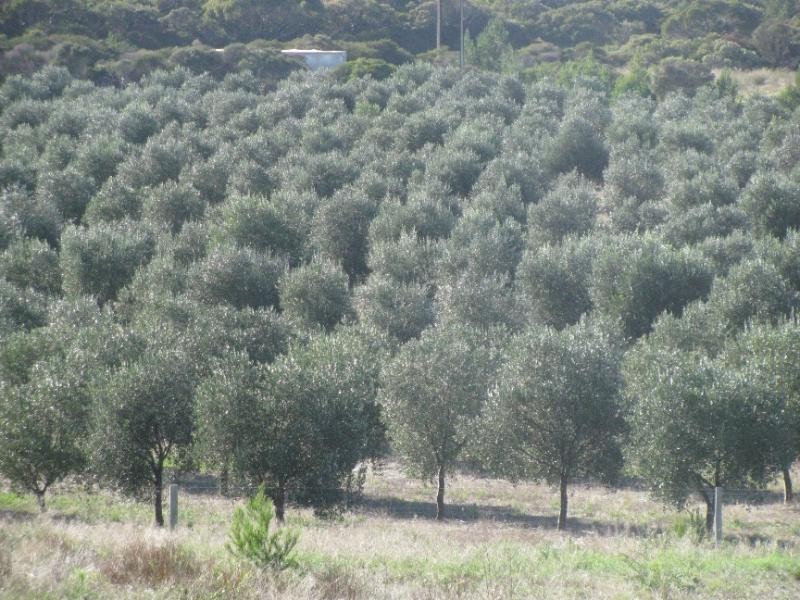 Lot 14/ Concorde Road, Port Lincoln SA 5606