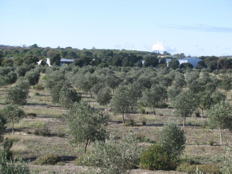 Lot 14/ Concorde Road, Port Lincoln SA 5606