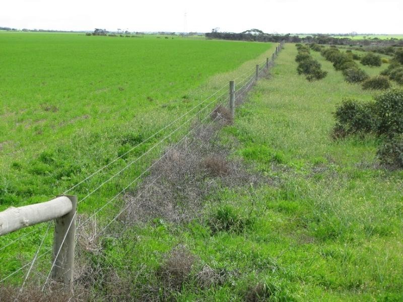 Rudall SA 5642