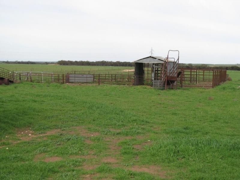 Rudall SA 5642
