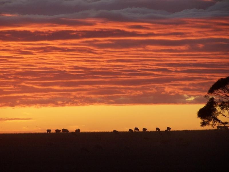 Section 5 & 25/ Hundred of Pordia, Wudinna SA 5652