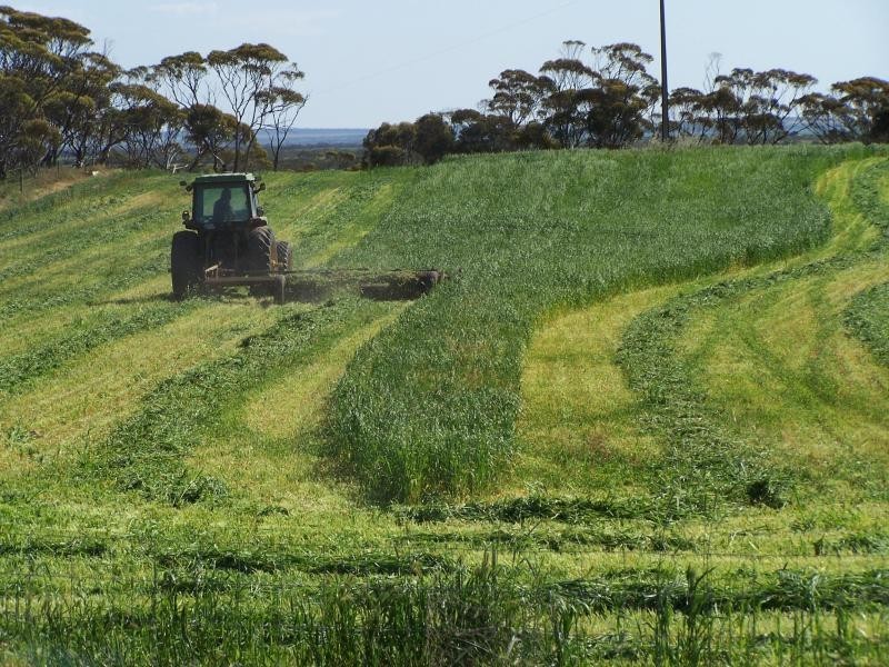 Section 5 & 25/ Hundred of Pordia, Wudinna SA 5652