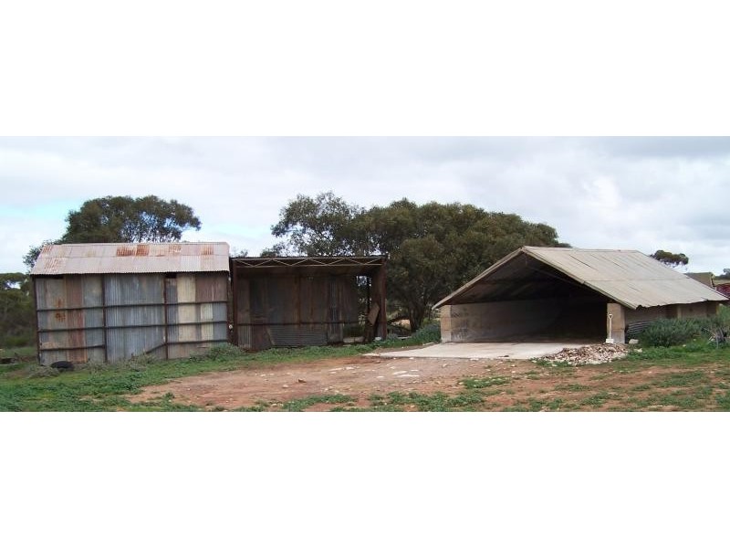 Section 5 & 25/ Hundred of Pordia, Wudinna SA 5652