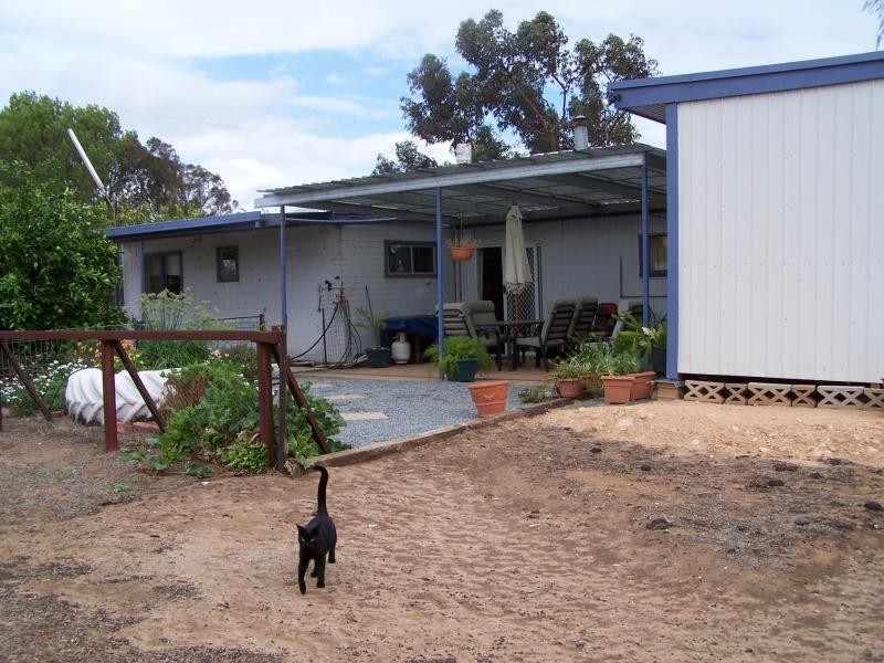 Section 5 & 25/ Hundred of Pordia, Wudinna SA 5652