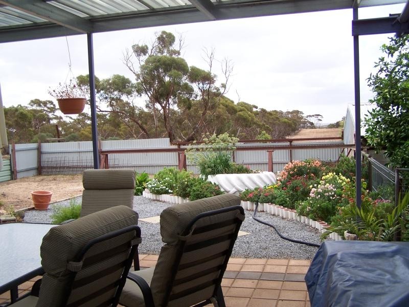 Section 5 & 25/ Hundred of Pordia, Wudinna SA 5652