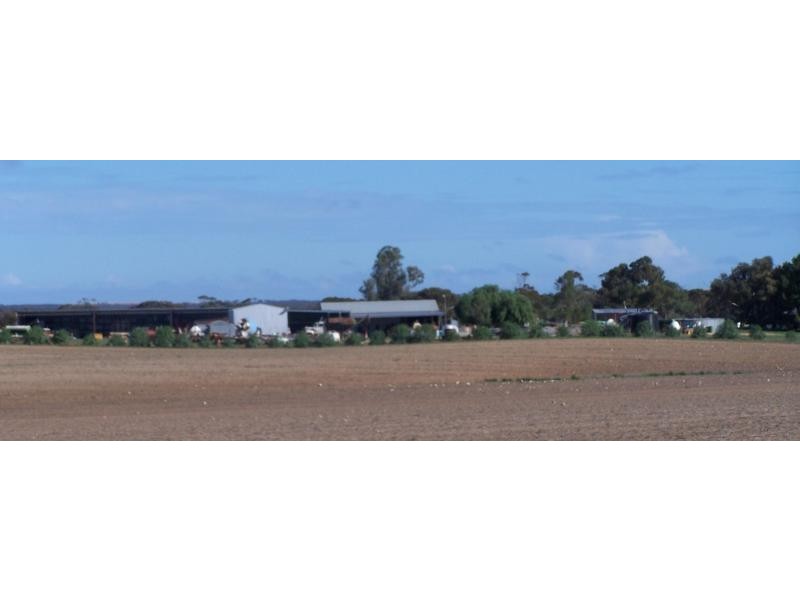 Section 5 & 25/ Hundred of Pordia, Wudinna SA 5652