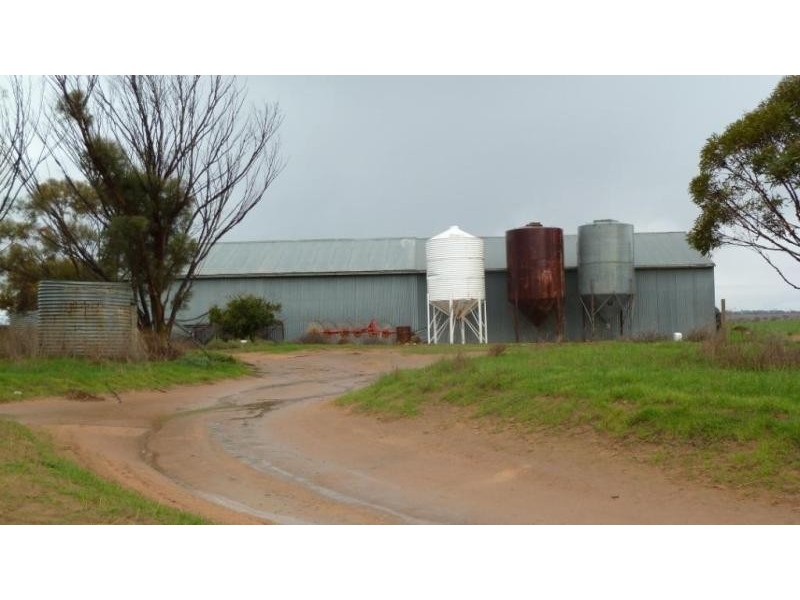 Section 6/ Hundred of Carina, Minnipa SA 5654
