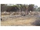 Section 6/ Hundred of Carina, Minnipa SA 5654