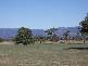 Willaura North VIC 3379