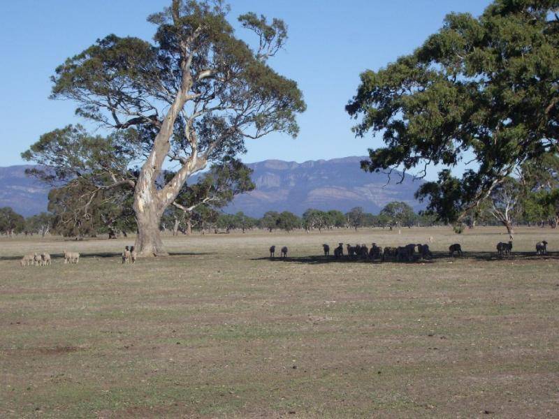 Willaura North VIC 3379