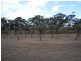 67 Military Bypass Road, Armstrong VIC 3377