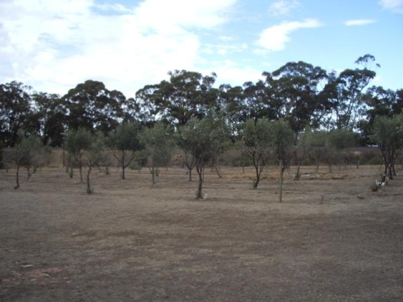 67 Military Bypass Road, Armstrong VIC 3377