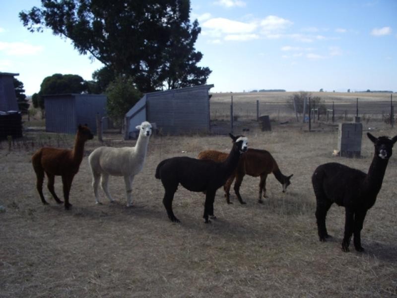 2065 Ross Bridge – Steatham Road, Westmere VIC 3351