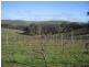 Ararat VIC 3377