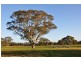 Ararat VIC 3377
