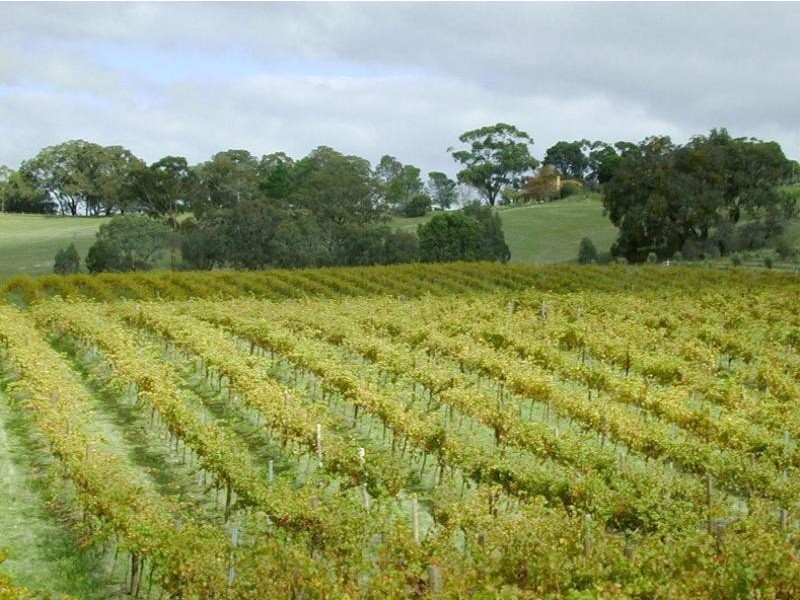 180 Westgate Road, Armstrong VIC 3377