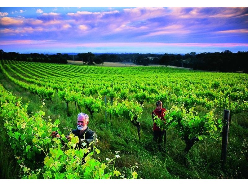 180 Westgate Road, Armstrong VIC 3377