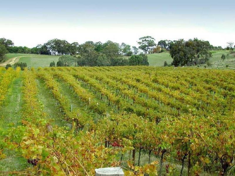 180 Westgate Road, Armstrong VIC 3377