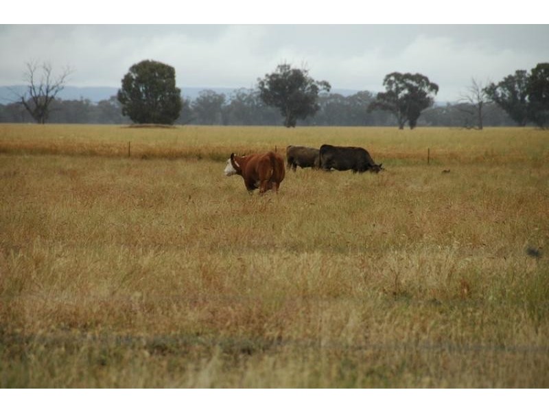 95 Holloway Road, Campbells Bridge VIC 3381