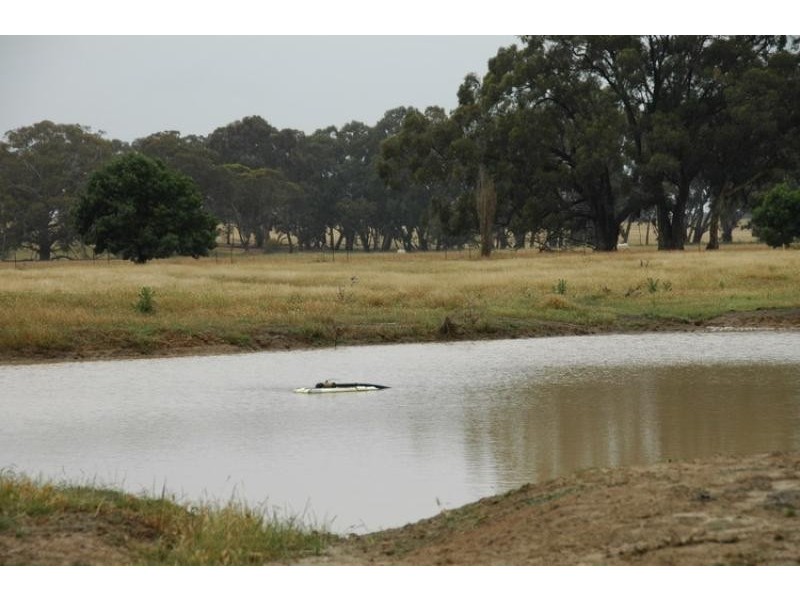 95 Holloway Road, Campbells Bridge VIC 3381