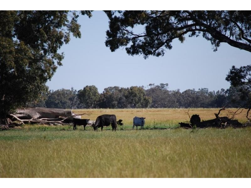 95 Holloway Road, Campbells Bridge VIC 3381