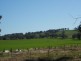 1300 Bungeet Rd, Bungeet., Benalla VIC 3672