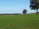 1300 Bungeet Rd, Bungeet., Benalla VIC 3672