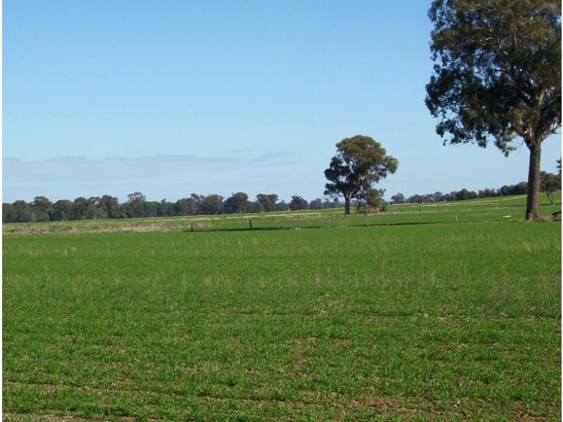 1300 Bungeet Rd, Bungeet., Benalla VIC 3672