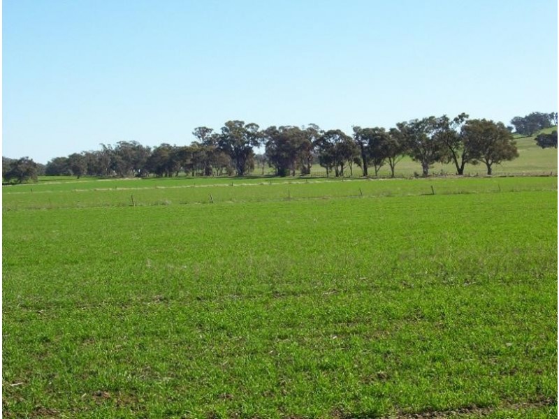 1300 Bungeet Rd, Bungeet., Benalla VIC 3672