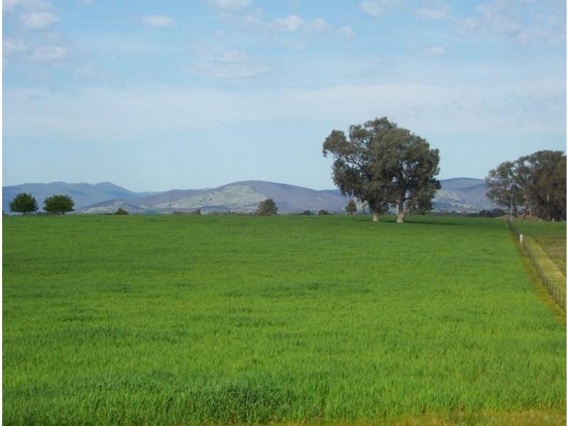 545 Baddaginnie Goomalibee Road, Tarnook., Benalla VIC 3672