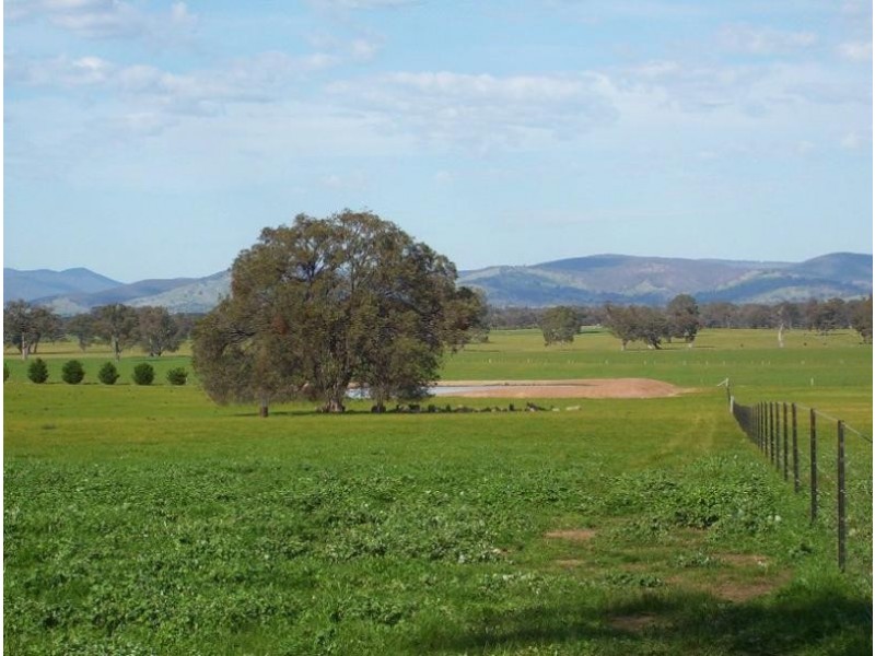 545 Baddaginnie Goomalibee Road, Tarnook., Benalla VIC 3672