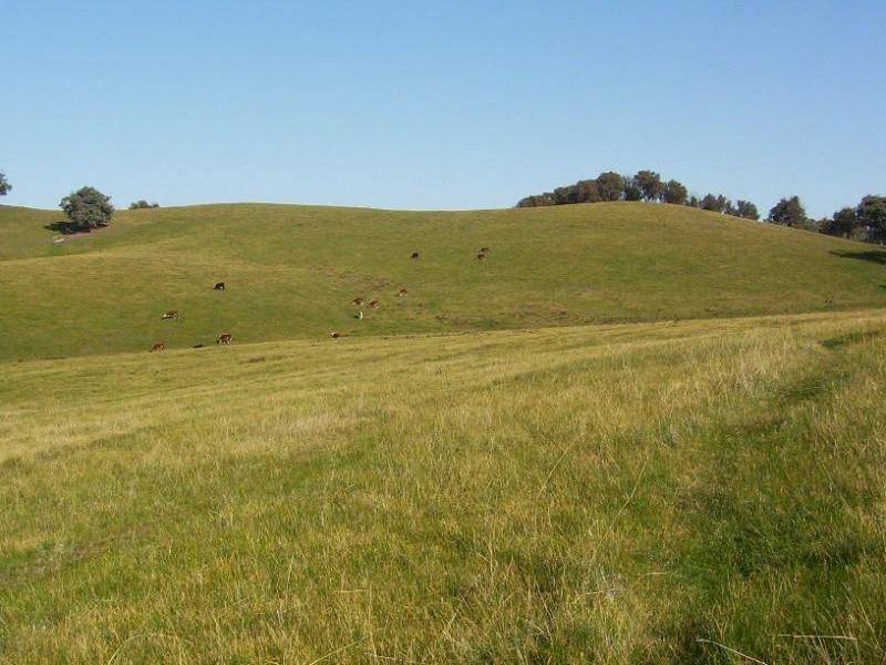 Broken Creek VIC 3673