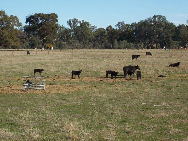 Broken Creek VIC 3673