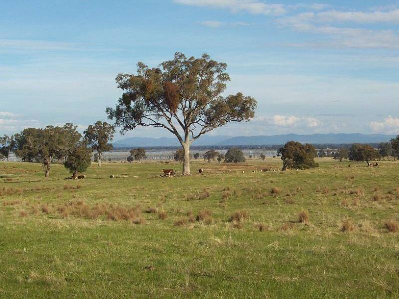 Broken Creek VIC 3673