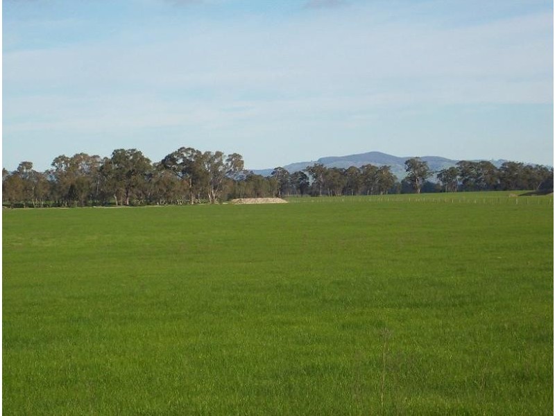 130 PLOZZA ROAD, Violet Town VIC 3669