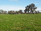 130 PLOZZA ROAD, Violet Town VIC 3669