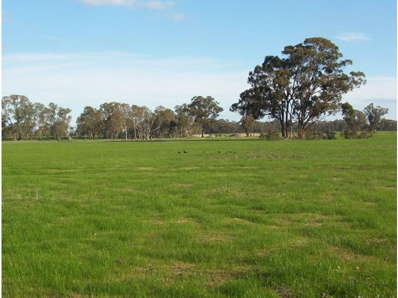 130 PLOZZA ROAD, Violet Town VIC 3669
