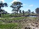 130 PLOZZA ROAD, Violet Town VIC 3669